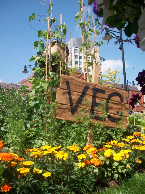 Oldham Floral Display by Phil Edmonds