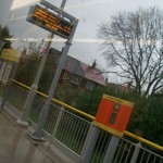 Damp Platform