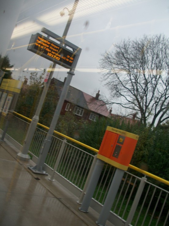 Damp Platform